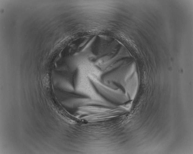 X0000074210689200609081531