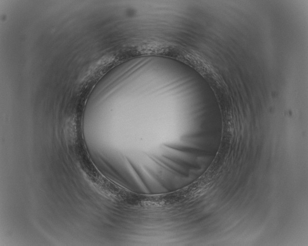 X0000074210690200609081531