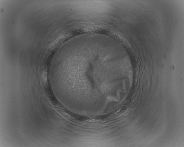 X0000074210691200609081531