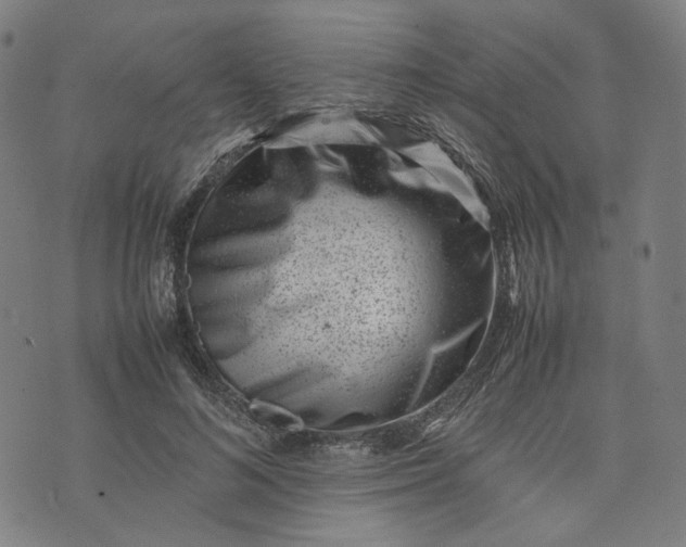 X0000074210692200609081531