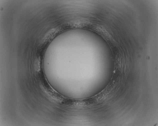 X0000074210694200609081531