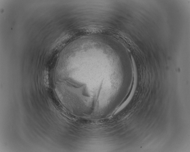 X0000074210696200609081531