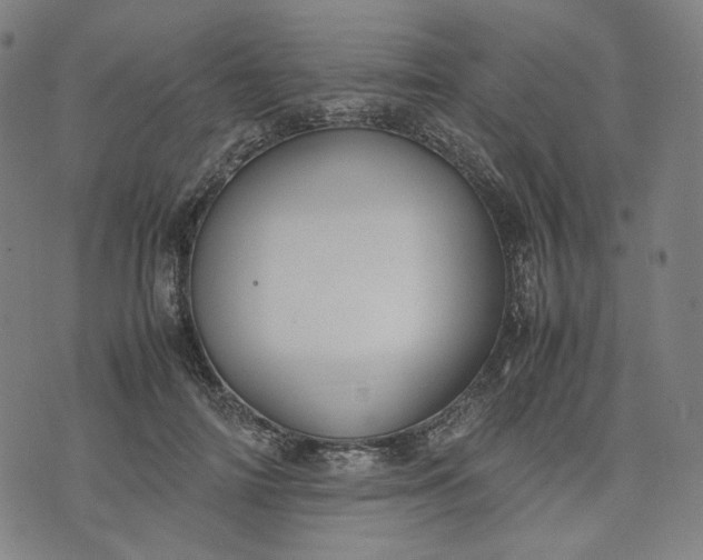 X0000074210698200609081531