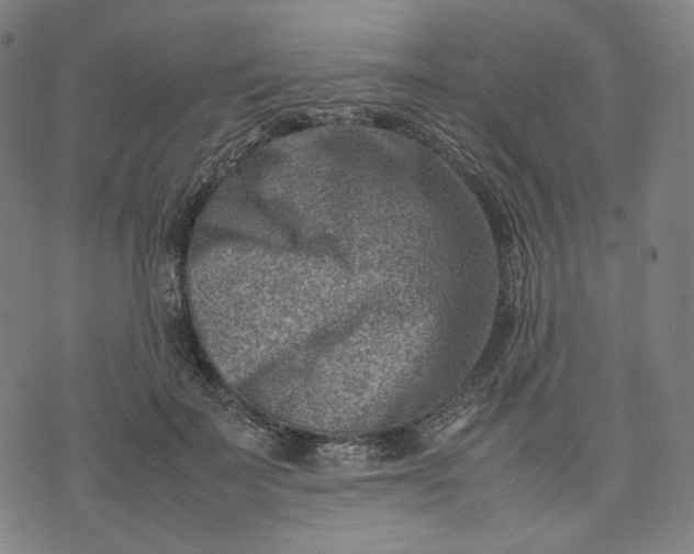 X0000074210699200609081531