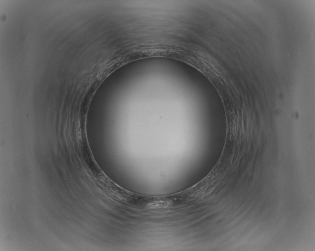 X0000074210700200609081531