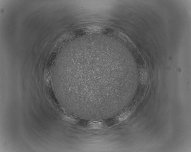 X0000074210701200609081531