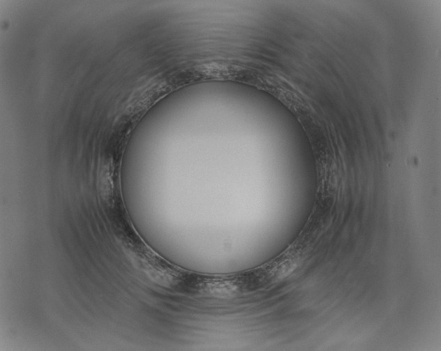 X0000074210702200609081531