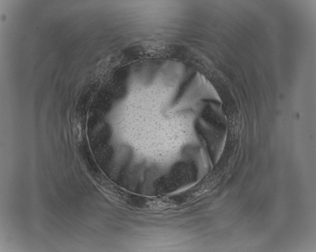 X0000074210703200609081531