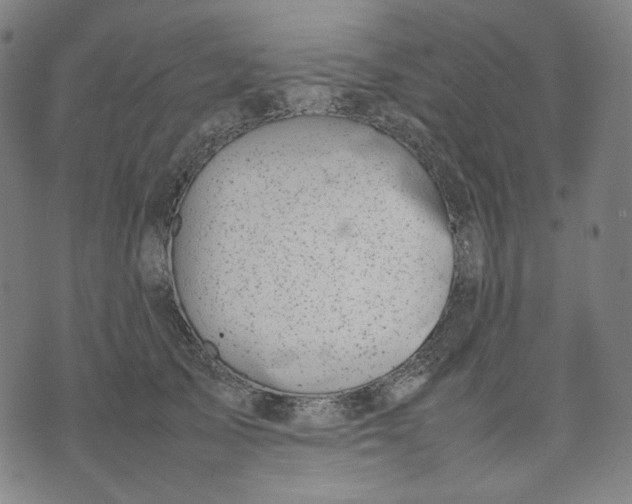 X0000074210705200609081531