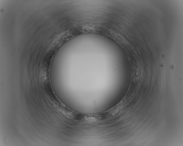 X0000074210706200609081531