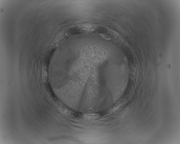 X0000074210707200609081531