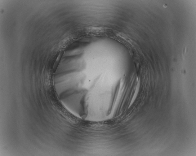 X0000074210708200609081531