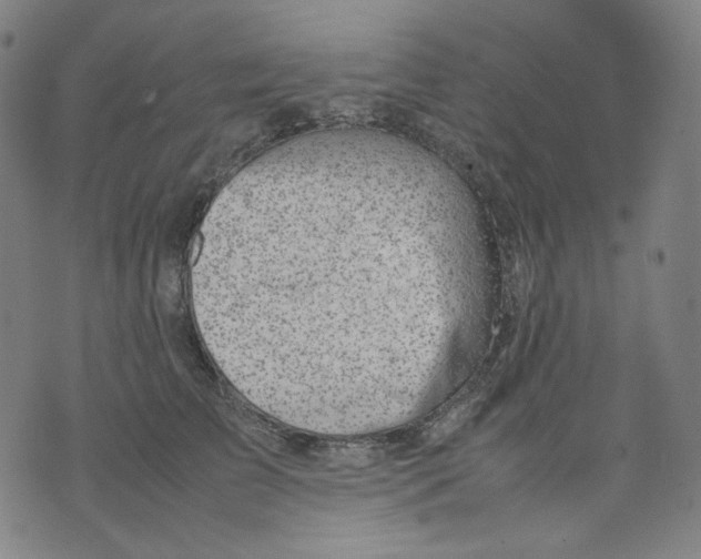 X0000074210709200609081531