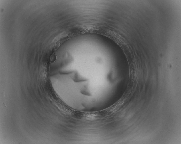 X0000074210710200609081531