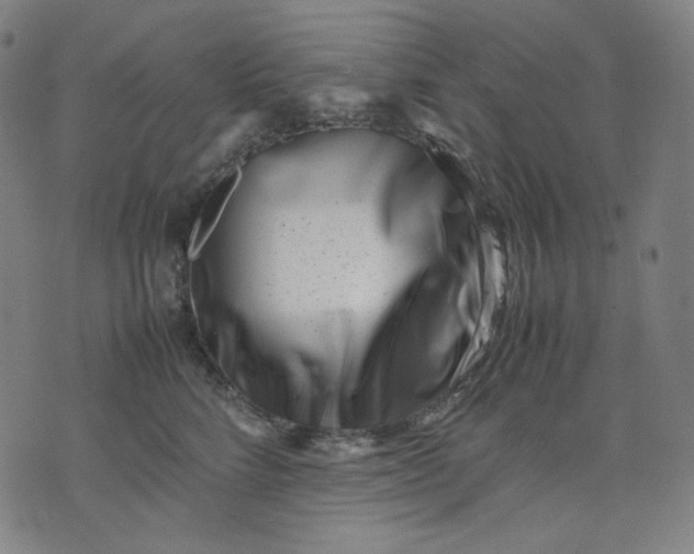 X0000074210712200609081531