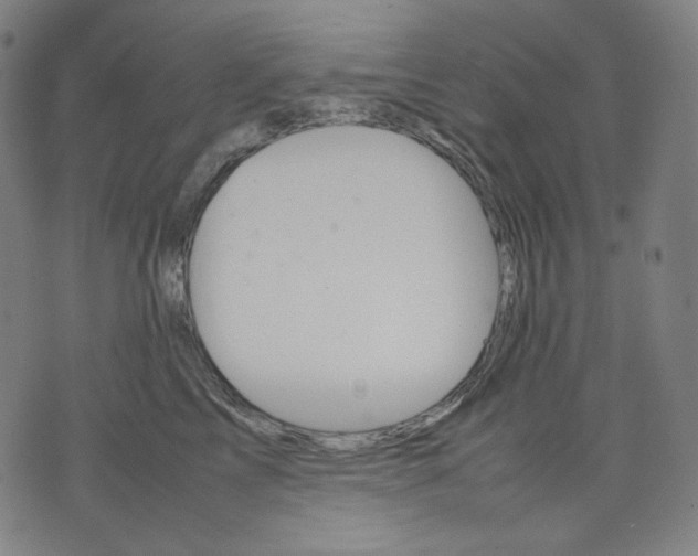 X0000074210713200609081531