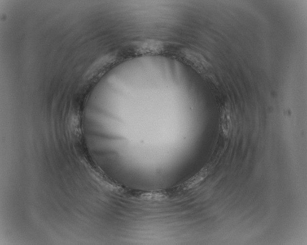 X0000074210714200609081531