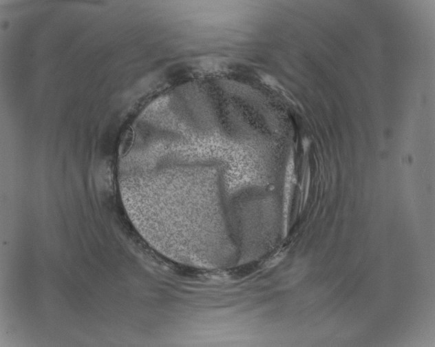 X0000074210715200609081531