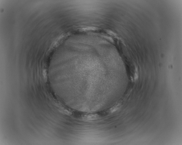 X0000074210716200609081531