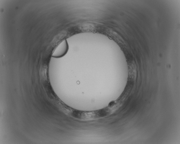 X0000074210717200609081531