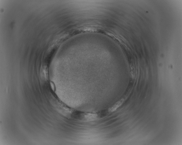 X0000074210718200609081531