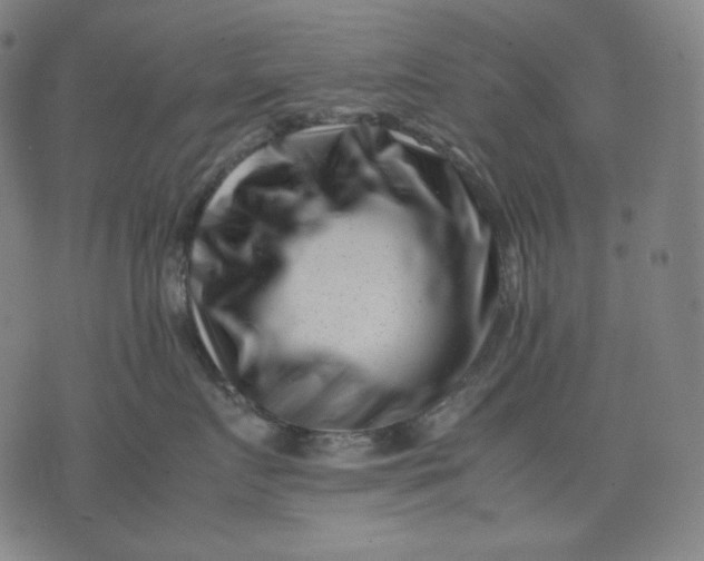 X0000074210719200609081531