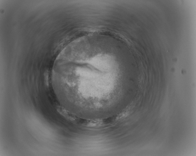 X0000074210720200609081531