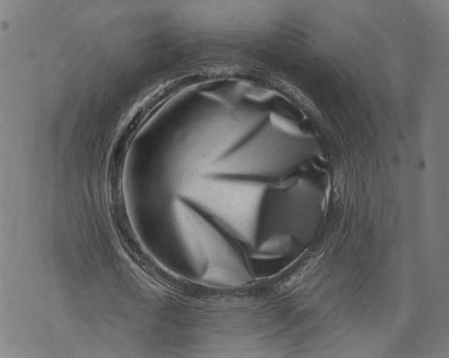 X0000074210722200609081530