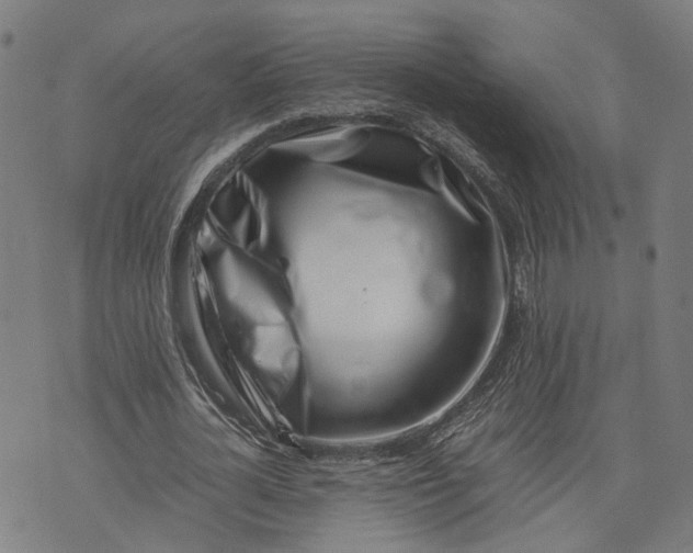 X0000074210724200609081530