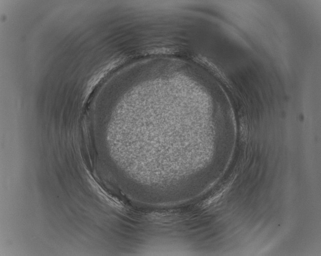 X0000074210725200609081530