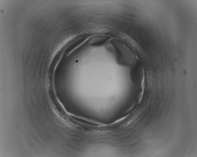 X0000074210726200609081530