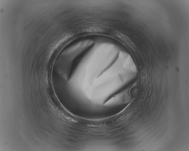 X0000074210727200609081530