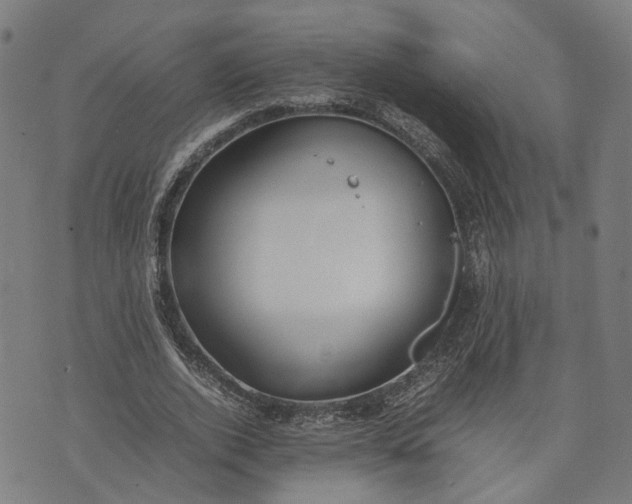 X0000074210728200609081530