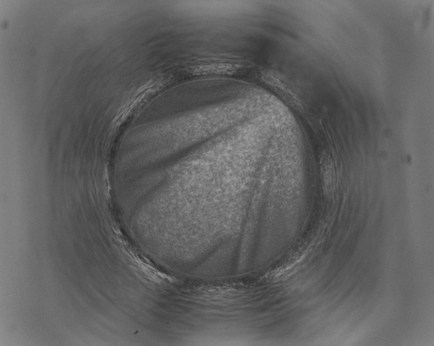 X0000074210729200609081530