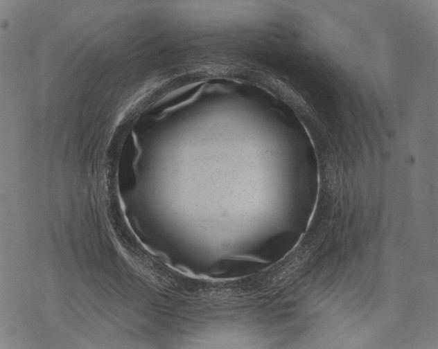 X0000074210730200609081530