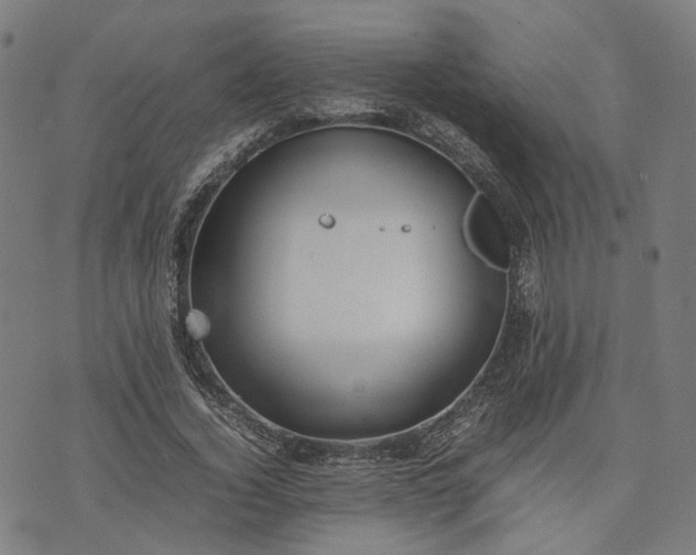 X0000074210732200609081530