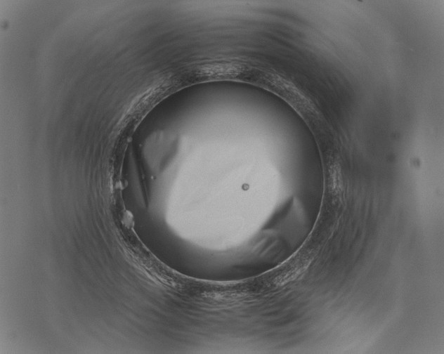 X0000074210733200609081530