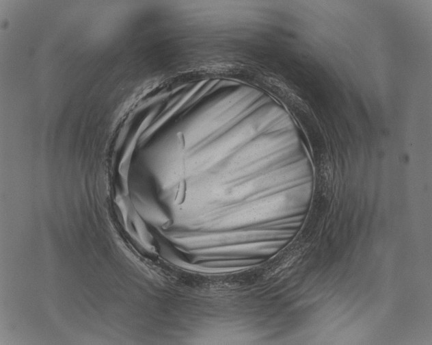 X0000074210734200609081530