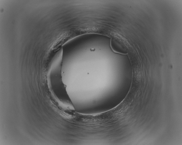 X0000074210735200609081530