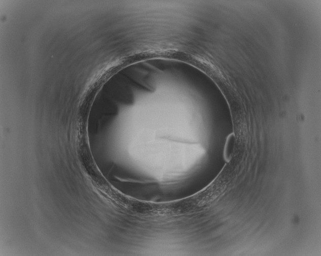 X0000074210736200609081530