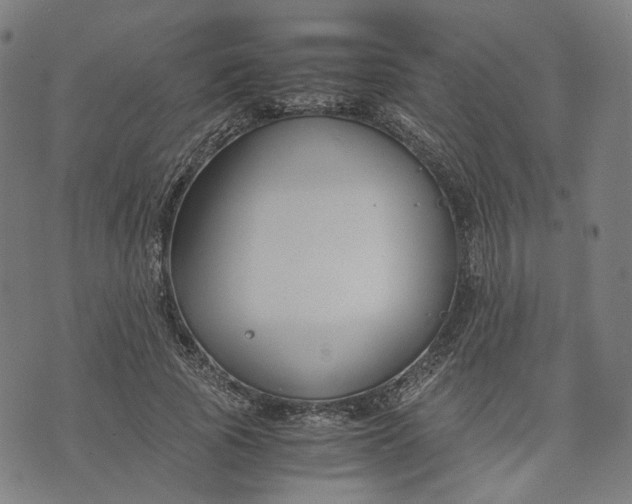 X0000074210737200609081530