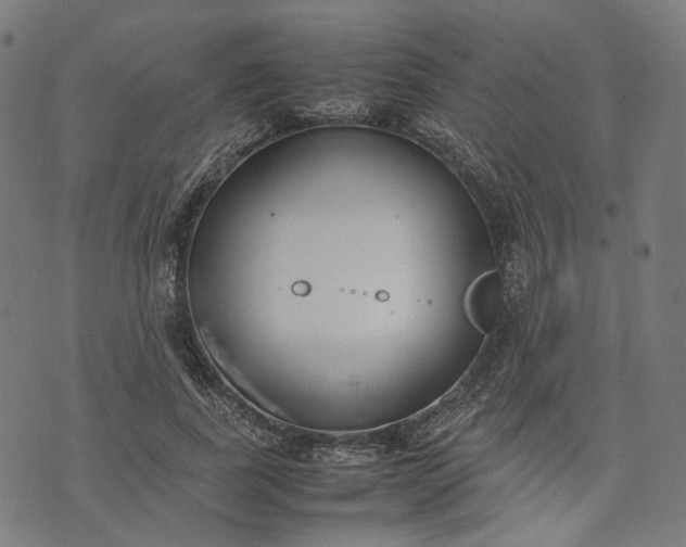 X0000074210739200609081530