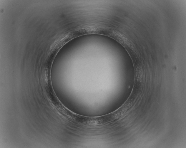 X0000074210740200609081530