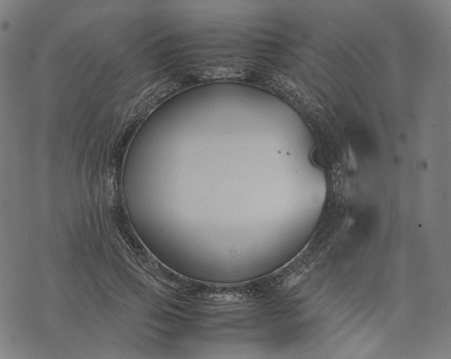 X0000074210741200609081530