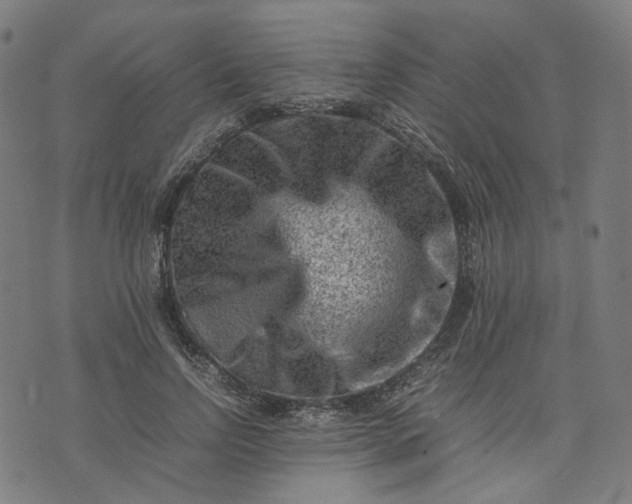 X0000074210742200609081530