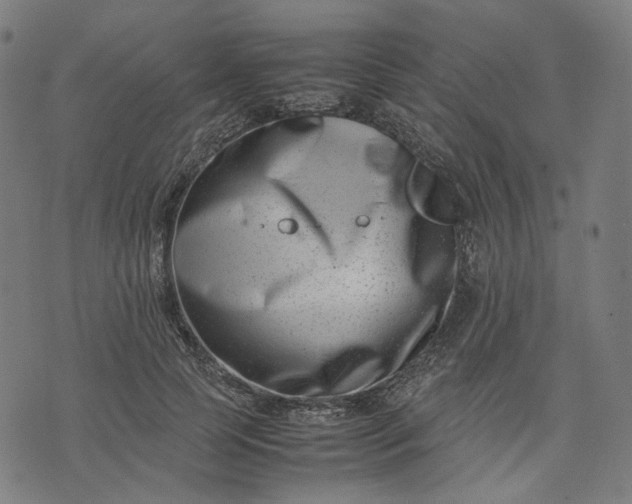 X0000074210745200609081530