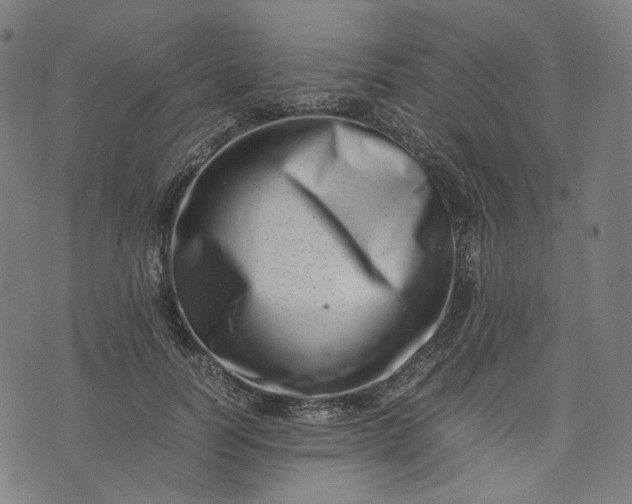 X0000074210746200609081530