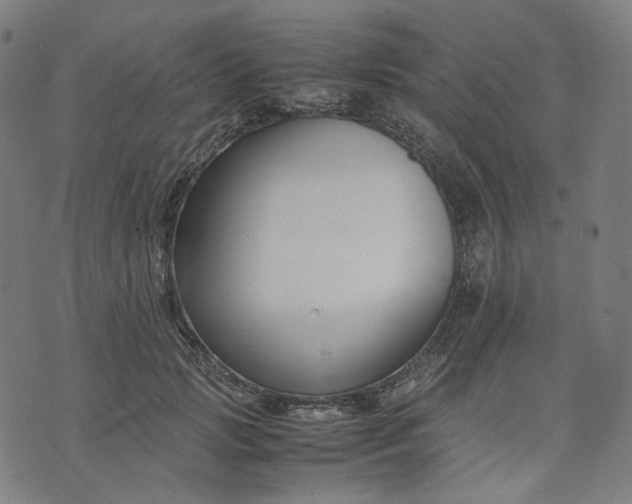 X0000074210749200609081530