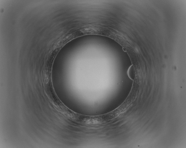 X0000074210751200609081530