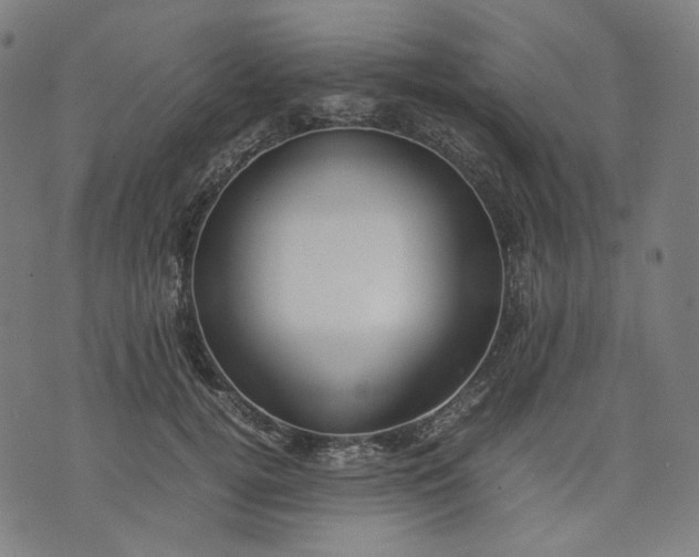 X0000074210752200609081531